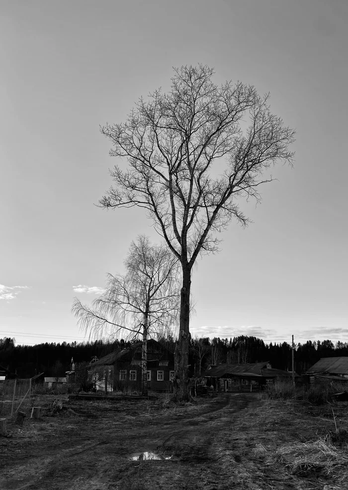 Когда живешь не в городе - Моё, Фотография, Природа, Длиннопост