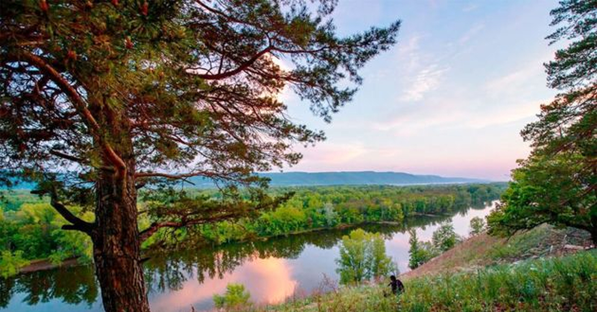 Природа казалась. Мастрюковские озёра Самарская. Самарская область мастюкинские озера. Озеро Мастрюково Самарская область. Самарская область парк Мастрюковские озера.