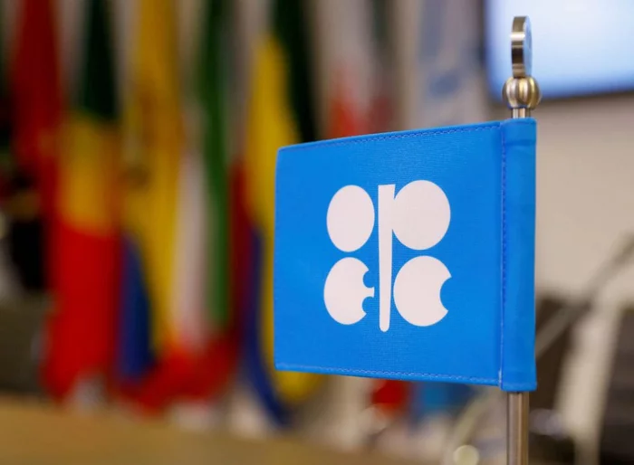 OPEC will not compete with Russia - Politics, West, Wards, Russia, Translated by myself