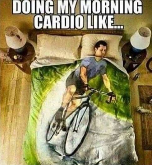 How do I do my morning cardio workout? - Humor, Memes, Laziness, Sport, Workout at home, Picture with text