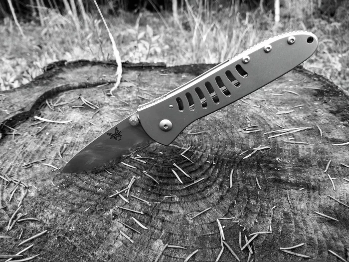 Black and white mood - My, Knife, Forest, Black and white photo, Stump