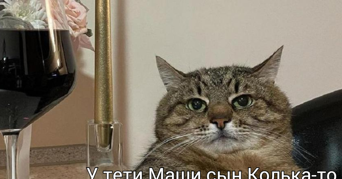 Кот с вином картинка