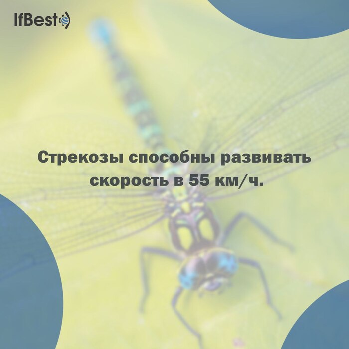 ���������� ���� � ���������