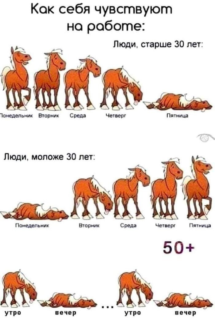    50+