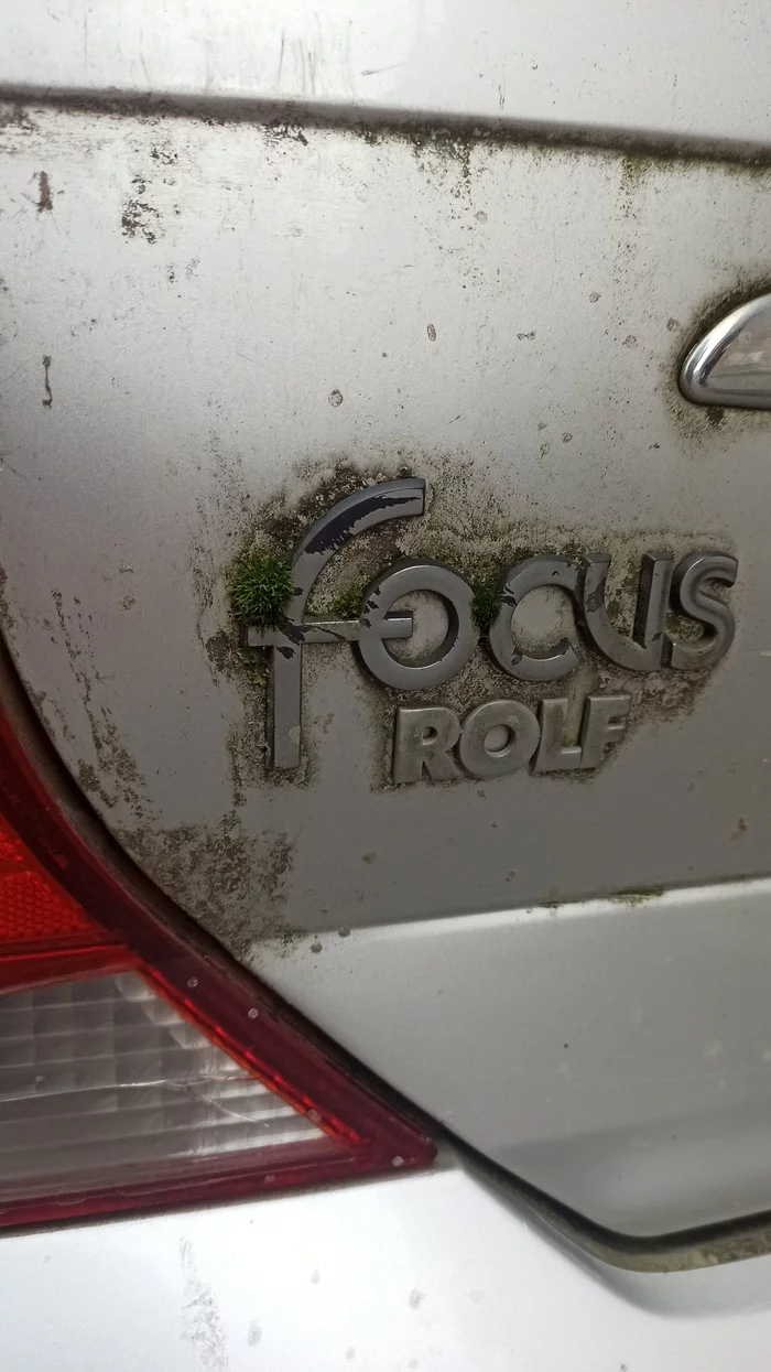 That's a joke, I've never seen such a joke - My, Ford, Auto, Car, Humor, Moss, Old age, Rust, Patina, Car service, Longpost