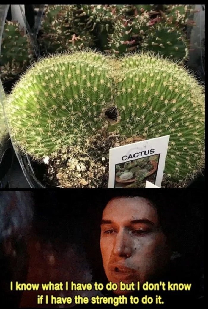 It was difficult - Cactus, Star Wars, Kylo Ren, Humor, Picture with text