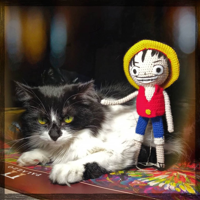  .  - One Piece  ,  , ,   , One Piece, Monkey D Luffy, ,  , , 