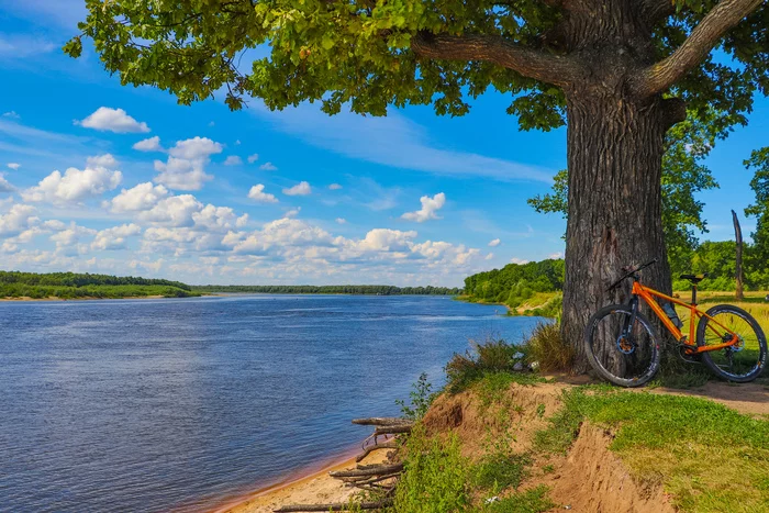Summer cycling - My, A bike, Bike ride, Summer, Nature, Dzerzhinsk, Lake, River, The photo, Video, Longpost