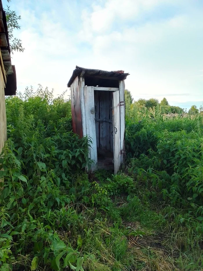 Rural toilet and worms - My, Village, Hygiene, Everyday life, Toilet