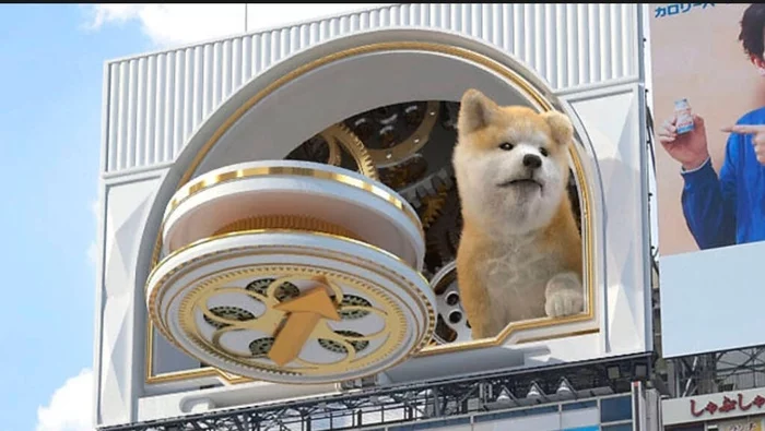 Giant 3D Akita Inu dog billboards appear in Tokyo - Video, With sound, Dog, Creative advertising, 3D, Longpost, Japan, Hachiko, Billboard, Clock