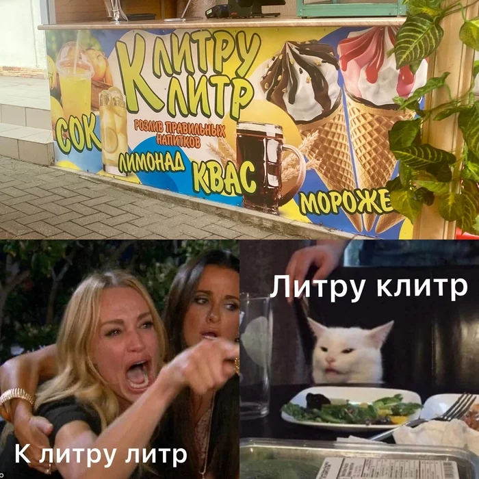 Gods of marketing in Gelendzhik - My, Rock ebol, Two women yell at the cat, Gelendzhik, Beer, Kvass, Summer, Memes, Picture with text