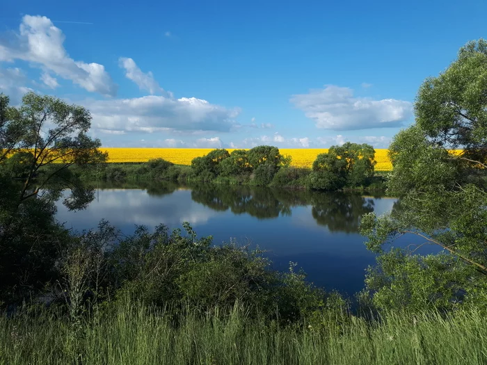 Утро на пруду - Моё, Мобильная фотография, Картинки, Красивый вид, Красота природы, Пруд, Небо, Облака