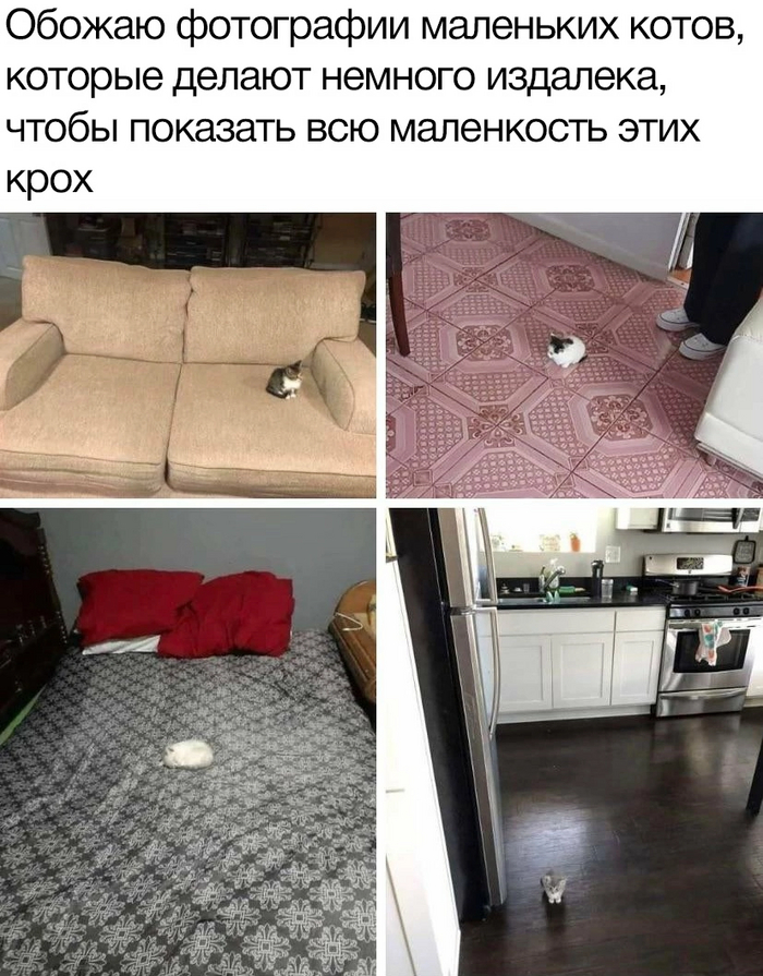    , , , 