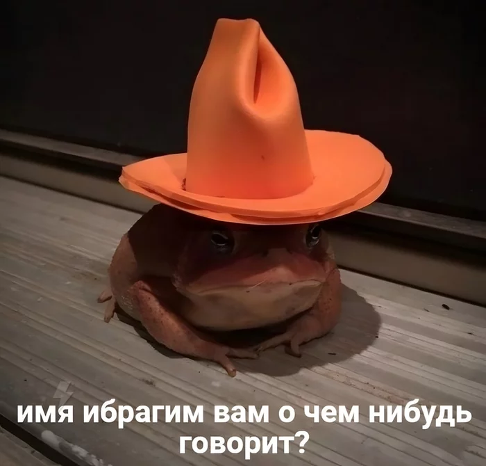 Традиционная жаба в среду - Мемы, Dank Memes, It Is Wednesday My Dudes, Ибрагим, Картинка с текстом