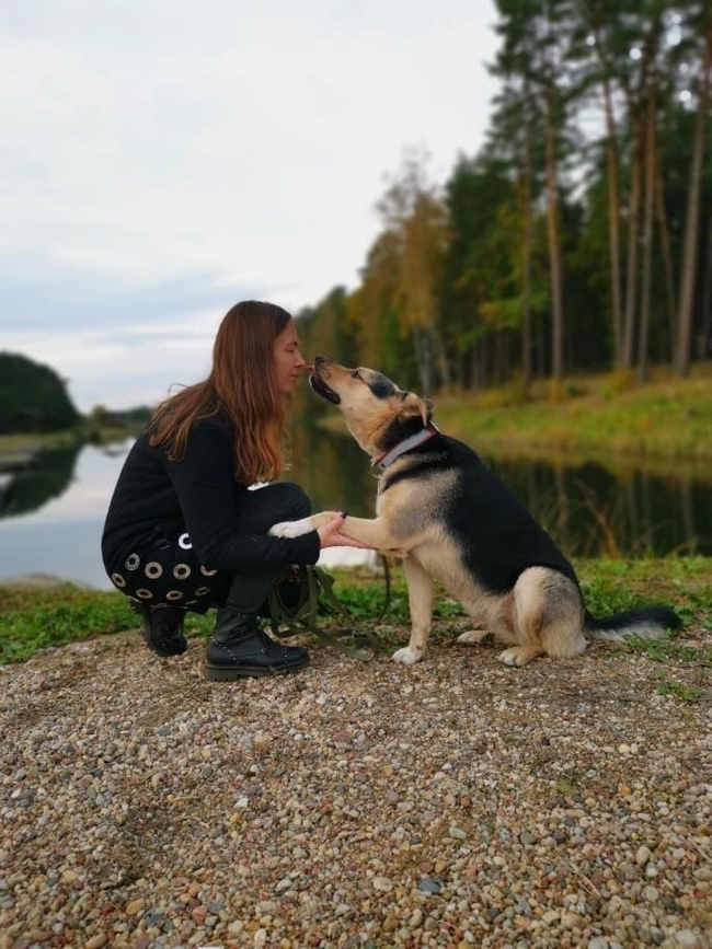 Shelter dog: legends and myths Part 2. The myth about dog gratitude and devotion - My, Dog, Helping animals, Longpost