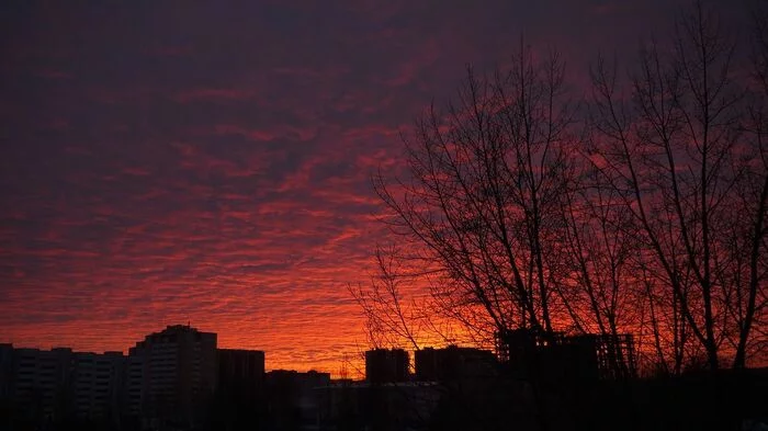 Закат в спальном районе - Красота, Закат, Небо, Фотография, Спальный район