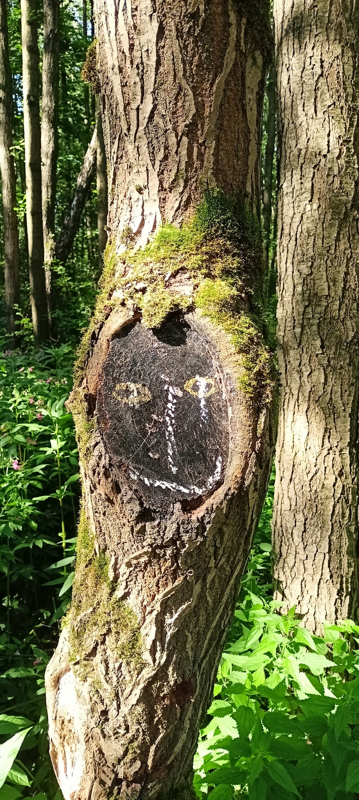 Надо, Федя, надо