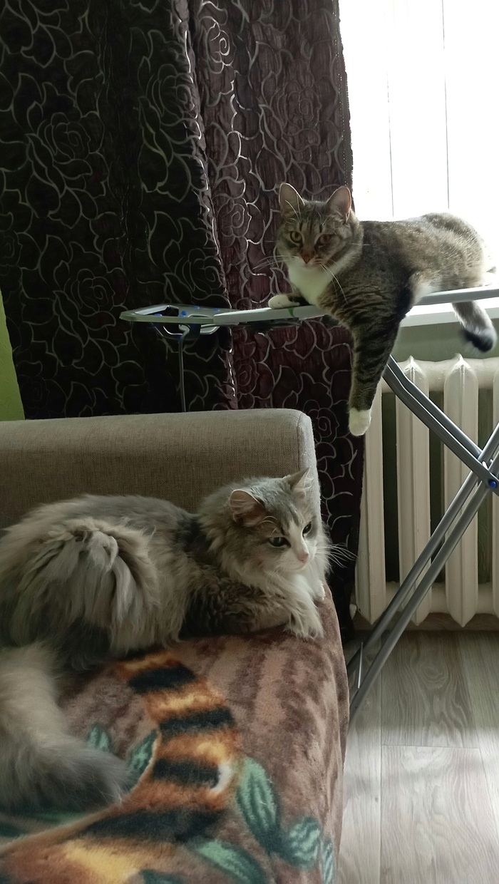 ����-������� �� ��������