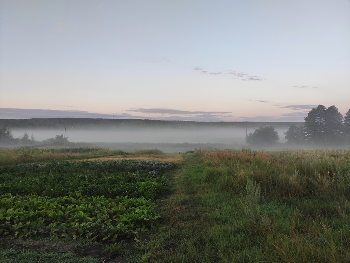 Первые шаги