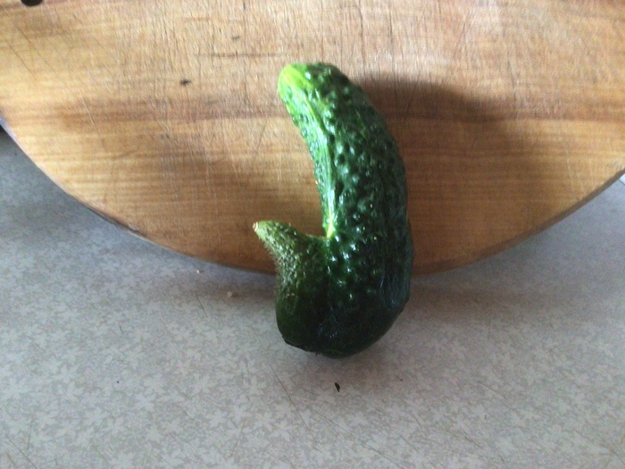  1 , , 