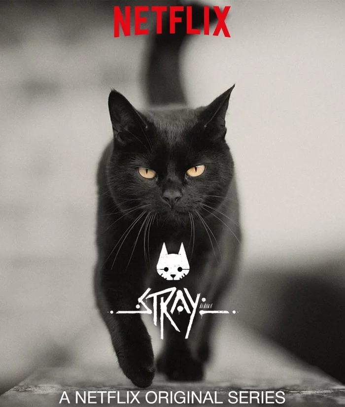 If Netflix decided to make a series based on the Stray cat simulator - Humor, Netflix, Stray, cat, Serials, Games