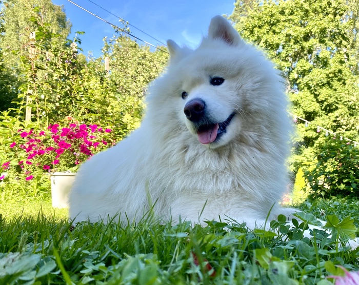 ����� � ����������