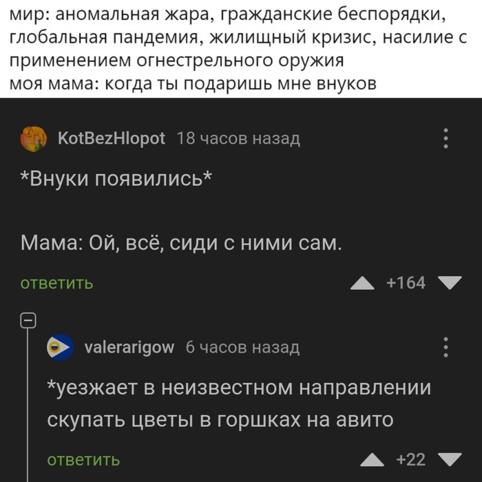 �������� ����