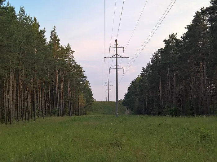 ЛЭП и лес - Моё, Лес, Мобильная фотография, ЛЭП