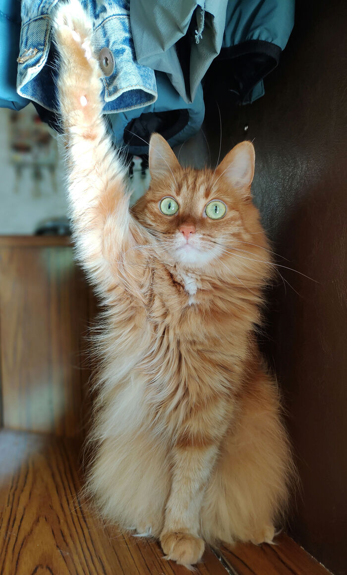    ? , , , ,  ,  , 