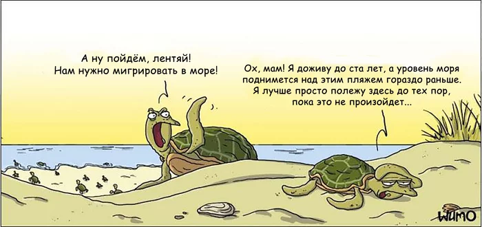 lazy turtle - Comics, Translation, Wulffmorgenthaler, Turtle, Laziness, Migration, Beach, Sea, Humor
