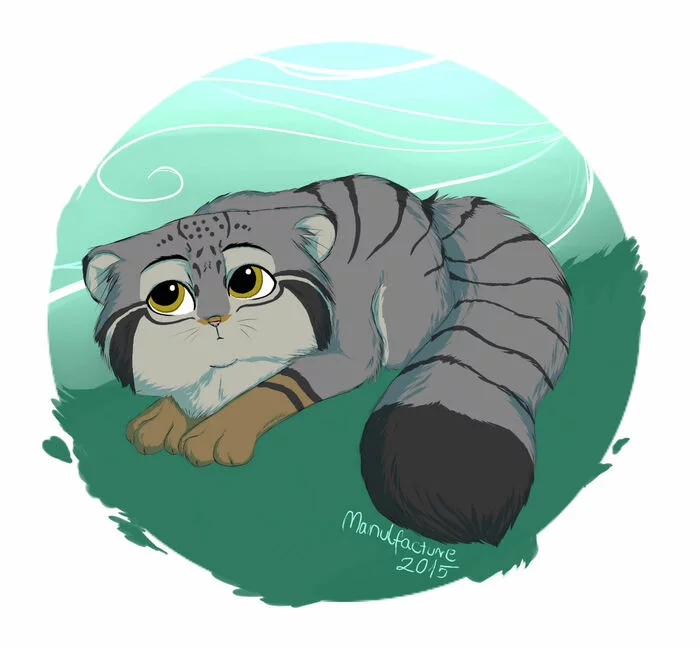 Are you sure you'll pet me? - cat, Pallas' cat, Pet the cat, Drawing, Milota