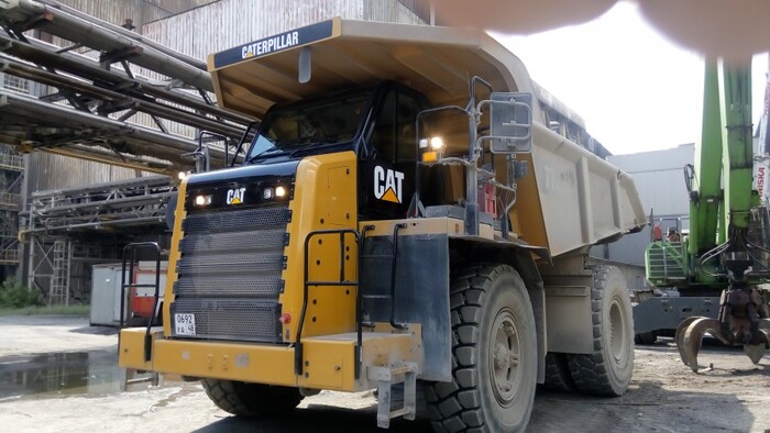 Котика вам в свежее