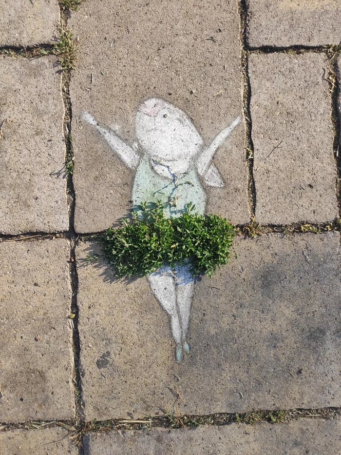 Continuation of the post Samara, Nikitinskaya Square. Crayons, paving slabs, botany - Positive, Hare, Graffiti, Unknown author, Botany, Reply to post, Prima Ballerina