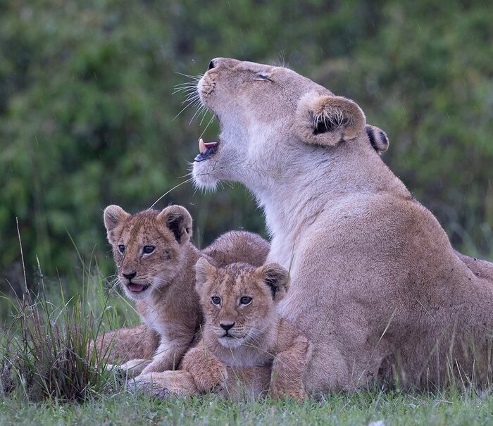 �� ������� �������