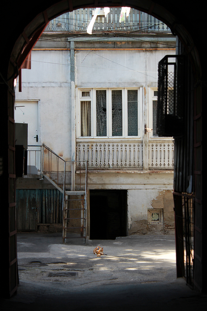 ����� ����