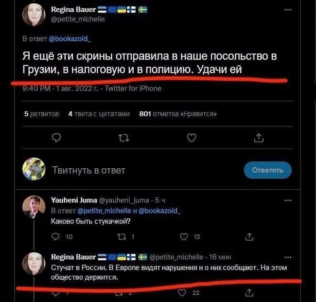 It's Different - Politics, Dmitry Puchkov, Twitter, Screenshot, Estonia, Longpost