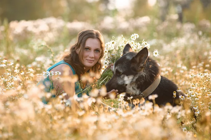 My favorites)) - My, The photo, Pets, Dog, Summer, Field, East European Shepherd, Grass, Longpost