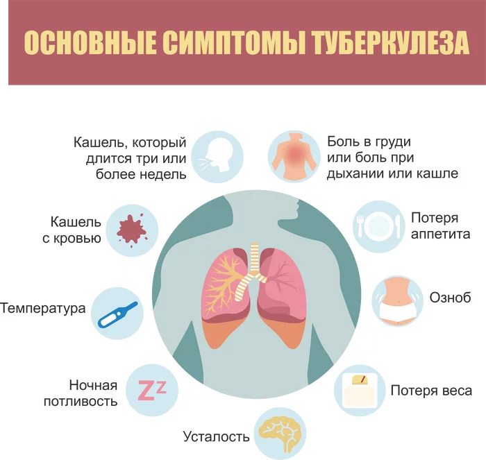 Интервью с командой Help Stop TB (Машинный перевод) - Исследования, Наука, Wcg, Boinc, Научпоп, Длиннопост