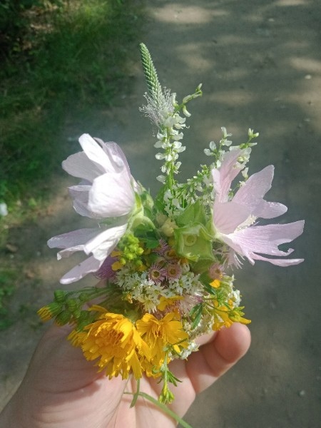    , , , 