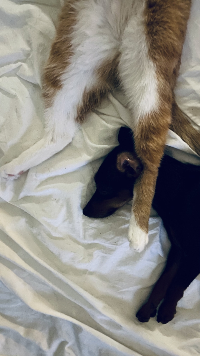 Вопрос без рейтинга