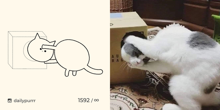 Когда наконец-то прибыла твоя сменная голова