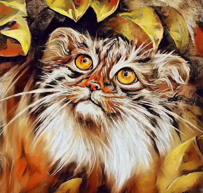 Art N6 - Pallas' cat, Pet the cat, Small cats, Cat family, Art