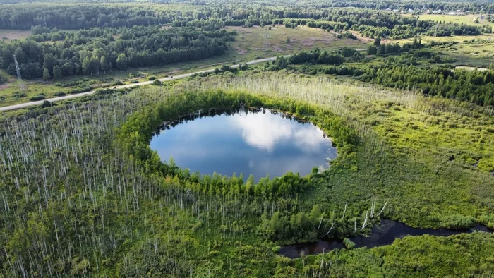 Lake Bezdonnoye Solnechnogorsk district - My, Swamp, DJI mini 2, Impressions, Feel, Longpost