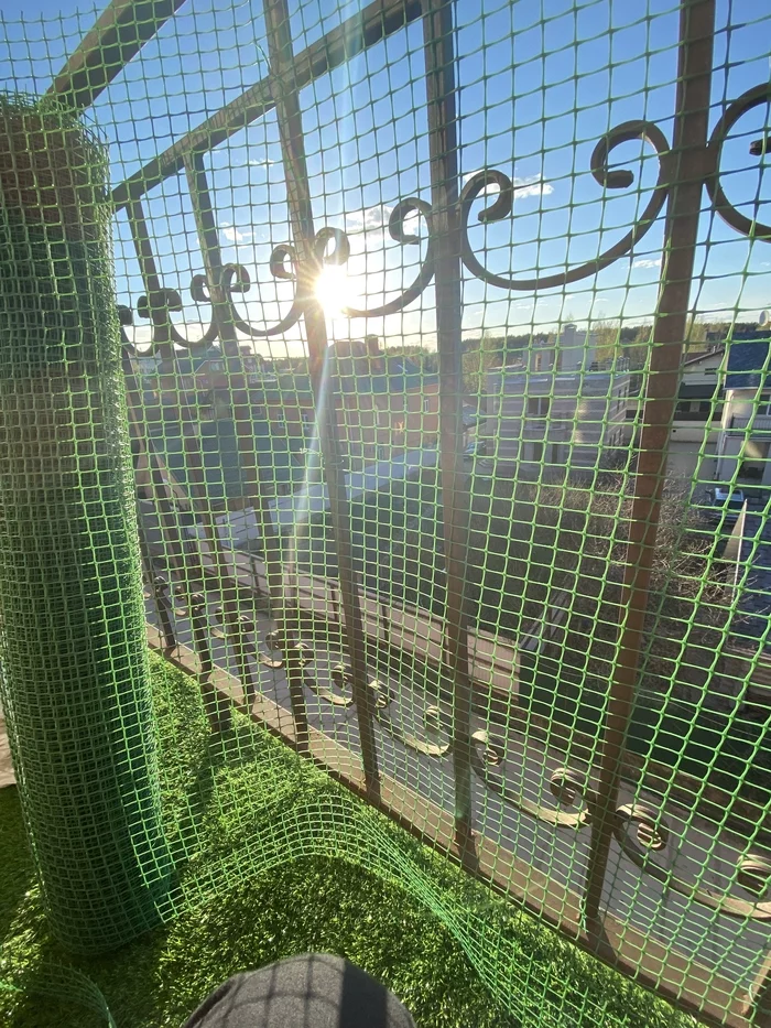 catbalcony - My, Longpost, cat, Pets, With your own hands, Video, Vertical video