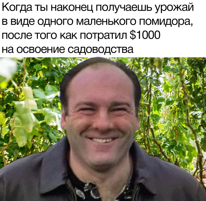 It's not much, but it's honest work. - Humor, Picture with text, Memes, James Gandolfini, Gardening, Costs, Tomatoes, Harvest, The Sopranos