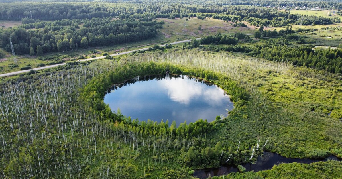 Озеро круглое глубина. Озеро бездонное Солнечногорский. Бездонное круглое озеро в Солнечногорске. Озеро круглое Брянская область. Озеро круглое Солнечногорский район.