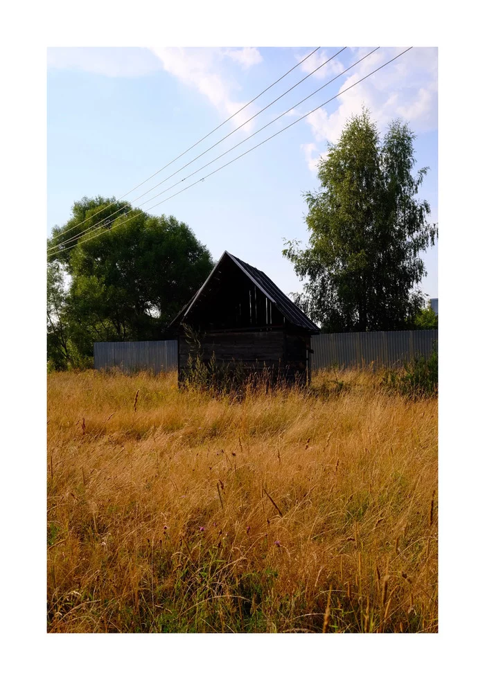 August in the countryside - My, The photo, Fujifilm, Nature, Longpost