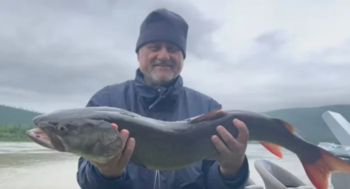 How academicians with the head of the Yakut ulus, according to the Red Book taimen, went to the Irkutsk rivers - My, Bodaibo, Irkutsk region, Yakutia, Officials, Hunting, Scandal, Fishing, Red Book, Incident, Video, Longpost
