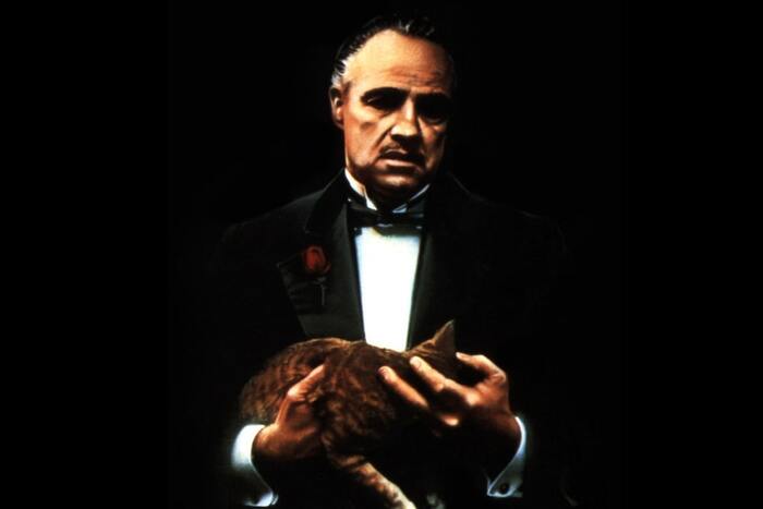 The story of the appearance of the Cat in The Godfather - Godfather, Sentence, cat, Marlon Brando, Video