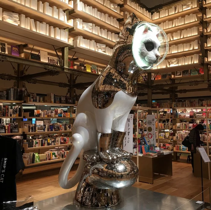 GINZA TSUTAYA BOOKS (Книжный магазин на тему искусства и японской культуры) - Книжный магазин, Искусство, Скульптура, Кот, Япония